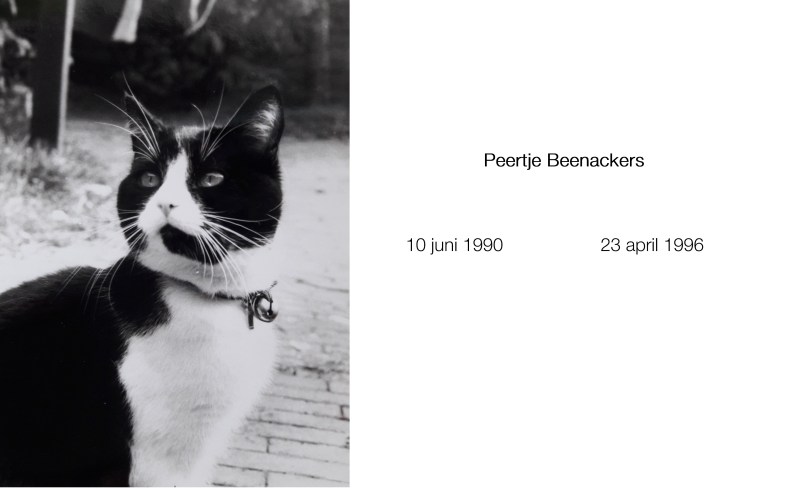 20170309_133139 outtake data